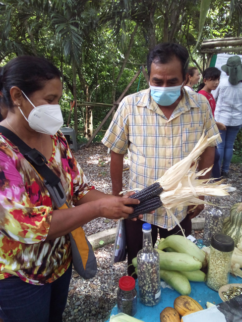 Trueque de semillas y alimentos. Ceprodites.  Marcos Cortez