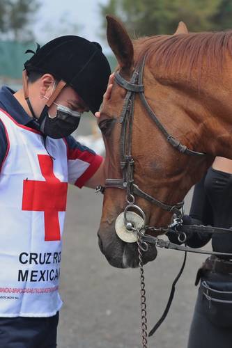 El voluntario rescatista de la Cruz Roja Ramiro Tapia recibe equinoterapia con la especialista Ana Laura Castañeda. F-5 es el equino con el que practica en sus sesiones.
