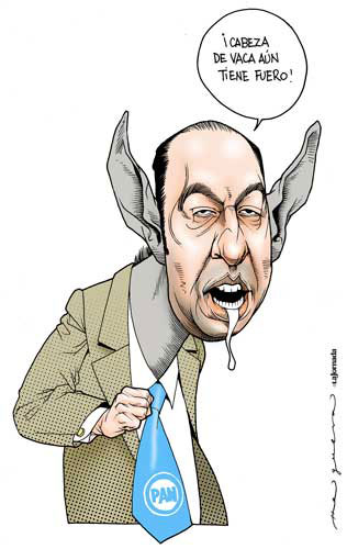 CABEZA DE BURRO