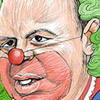 Mostrar el cartón