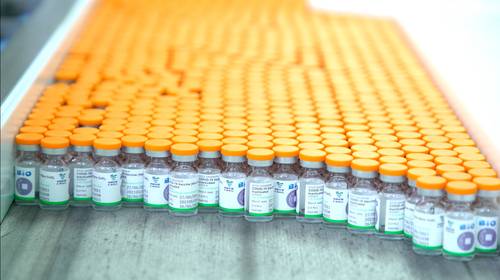 China informó que está listo su primer lote de vacunas (de la farmacéutica Sinopharm) que será suministrado al sistema Covax. Es, dijo, otro paso en el compromiso de convertir sus antígenos contra el Covid-19 en bienes públicos globales.
