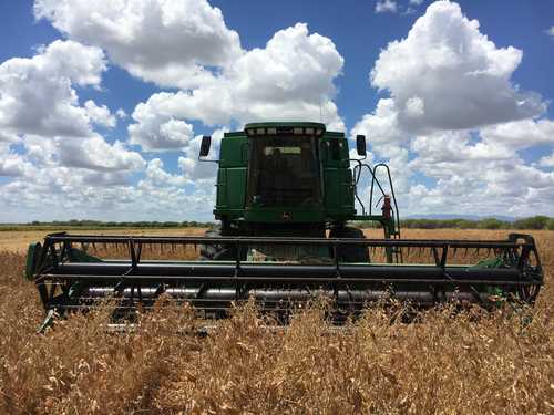 El financiamiento a las actividades relacionadas con la agricultura, el sector silvícola y el pesquero es el más bajo desde octubre de 2019, cuando se situó en 102 mil 138 millones de pesos. En la imagen, un cultivo de soya en Nuevo León.