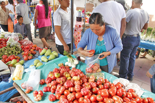 Ama de casa en Miahuatlán comprando tomates cultivados por doña Susana.  Geovanni Martínez Guerra