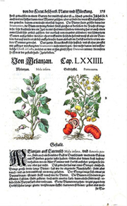 Herbario de Pietro Andrea Mattioli, (1586), Kreutterbuch