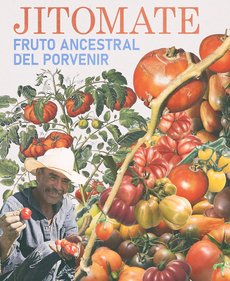 JITOMATE Fruto ancestral del porvenir