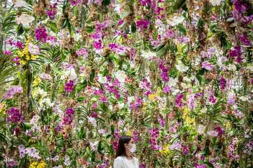 Flores que flotan por encima de las personas y cuando éstas se mueven vuelven a descender es la experiencia que se ofrece al visitante a la instalación cinética interactiva Floating Flower Garden: Flowers and I are of the Same Root, the Garden and I are One, que se exhibe en el Jardín de los planetas, en el distrito de Toyosu, Tokio, Japón, donde se puede deambular libremente por el espacio tridimensional de la masa floral y sumergirse en la obra de arte para ser parte de la misma, no como si se estuviera inmerso en un jardín zen, sino siendo parte de éste, así como en los jardines usados por los sacerdotes budistas durante su preparación para volverse uno con la naturaleza.