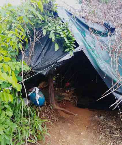 Habitantes de la comunidad de El Abrojal, en Zihuatanejo, Guerrero, se ocultan en tiendas de campaña en medio de la maleza tras abandonar sus viviendas, obligados por grupos del crimen organizado.