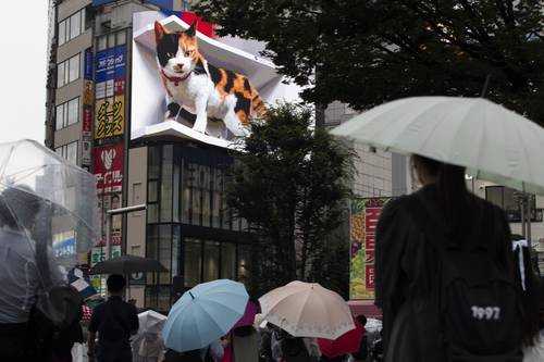 Las redes sociales fueron invadidas este lunes por videos, fotos y textos cuyo tema principal es la imagen 3D de un gato calicó de unos seis metros que parece caminar, echarse o pasar el rato viendo a la gente desde un edificio de tres pisos en Tokio, Japón.