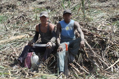 Trabajadores agrícolas de Guatemala en Chiapas.  Martha García