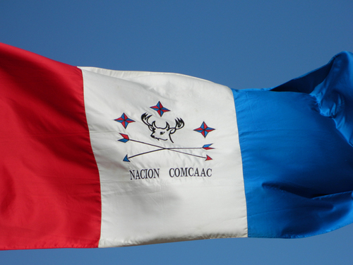 La bandera de la nación comcaac, 2014.  Jesús Ogarrio