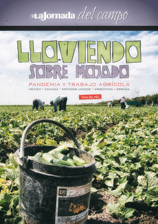 LLOVIENDO SOBRE MOJADO: Pandemia y trabajo agrícola