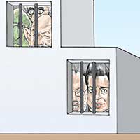 Mostrar el cartón