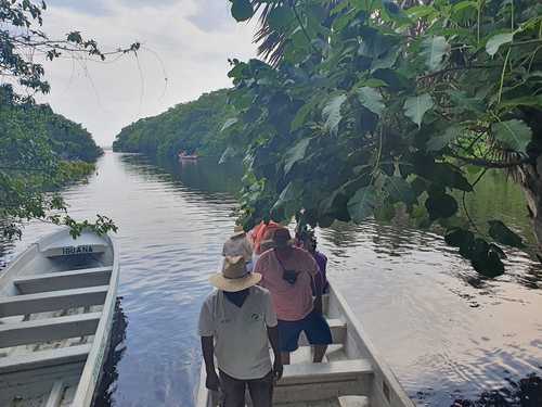 Guías de la Cooperativa de Servicios Ecoturísticos La Ventanilla trasladan a visitantes en una lancha sin motor a una pequeña isla ubicada en el centro de la laguna a conocer algunos ejemplares de ese ecosistema, como cocodrilos y venados cola blanca.