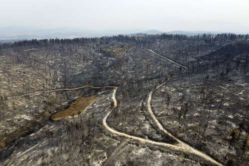 Un bosque quemado en la aldea de Agia Anna en la isla de Evia, al norte de Atenas. Cientos de bomberos de toda Europa y Oriente Medio trabajan junto a colegas griegos en terrenos accidentados, para contener los enormes incendios forestales que devastaron los bosques de Grecia durante una semana, destruyendo hogares y forzando evacuaciones.