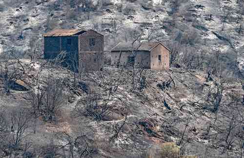 Al menos 69 muertos han dejado los incendios que devastan el norte de Argelia, atizados por el calor extremo y contra el cual bomberos, militares y voluntarios luchan sin descanso. El presidente Abdelmadjid Tebboune decretó tres días de duelo nacional a partir de hoy. De acuerdo con el ministro del Interior, Kamel Beldjud, el lunes por la noche se desataron medio centenar de incendios “de origen criminal”, facilitados por las condiciones meteorológicas, aunque no dio más detalles. La imagen, ayer en las colinas boscosas de la región de Kabylie, al este de Argel.