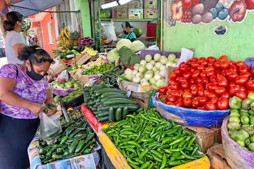 La Anpec reportó que el producto de la canasta básica con el mayor incremento fue la cebolla, cuyo precio promedio por kilogramo pasó de 15.11 en julio a 22.78 pesos, es decir, un aumento de 50.74 por ciento.