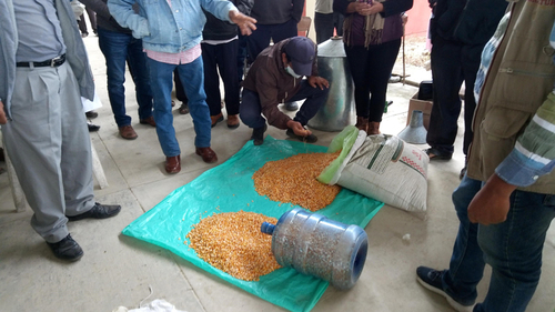Intercambio de experiencias en Chintepec, Chiconamel, Veracruz. Estrategia de Acompañamiento Técnico 2020