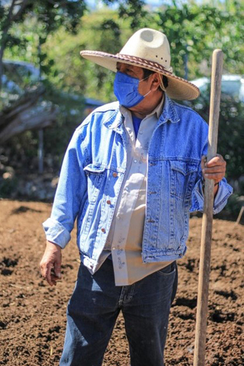 Don Ramón en su parcela en transición agroecológica.  Luis Javier Peña Robles