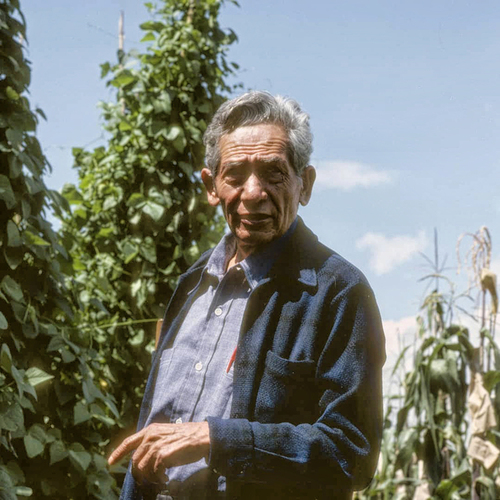 Efraim Hernández Xolocotzi (1913-1991). H. Iltis (Chapingo,1977)