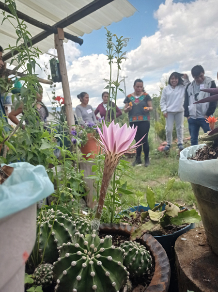 Sesión de escucha e intercambio en Santa María Zotoltepec, Ixtacamaxtitlan entre estudiantes de la licenciatura del Cesder y mujeres organizadas en contra de la instalación de la minera Gorrión. Alonso Gutiérrez-Navarro