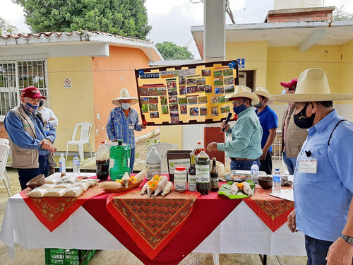 Intercambio desarrollado en Tabasco.  Wendy Castañeda Abad, 2021