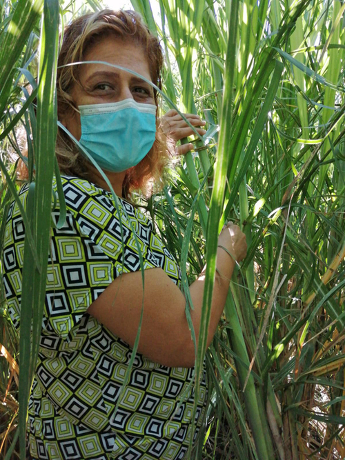 Cortesía Secretaría de Agricultura y Desarrollo Rural