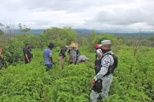 La brigada para localizar a Vicente Suástegui, formada por la Comisión Nacional de Búsqueda, la Fiscalía de Guerrero, el Ejército y la Guardia Nacional, realizó ayer su último rastreo en la parte alta de la colonia Nicolás Castillo del poblado de Metlapil, en la zona rural de Acapulco.