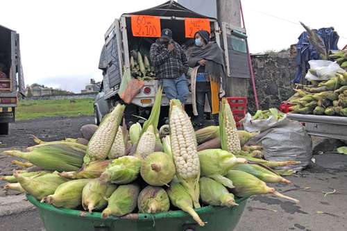 Al gusto, con chile, limón o desgranado para los esquites, son toda una tradición.