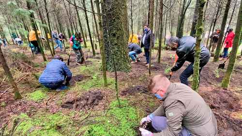 Personal de la Secretaría de Medio Ambiente de la Ciudad de México, con el apoyo de la embajada de Alemania en México, inició la plantación de mil árboles en el área verde protegida del Desierto de los Leones. La representación diplomática del país europeo donó a la capital del país las plantas, además de herramientas como palas e insumos, para su mantenimiento y conservación.