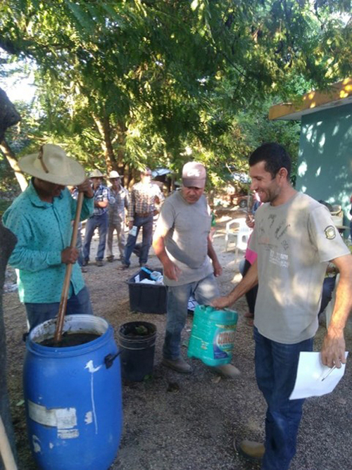 Preparación de bioles. Rosa Guadalupe Montejo