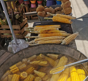 Botana saludable, Merposur, San Cristóbal de Las Casas. Cecilia Elizondo