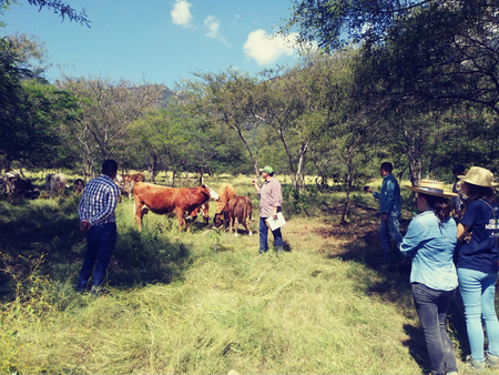 Grupo de Agricultura Orgánica de la Ciénega Rodolfo González Figueroa