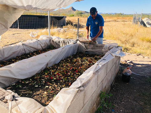 Alimentación de lombricomposta. Universidad Tecnológica de Rodeo