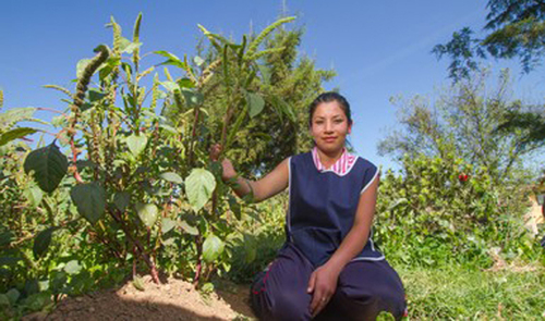 Producción para el Bienestar es el programa de fomento productivo que ha venido incorporando un mayor número de mujeres beneficiarias. SADER