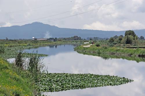  Actualmente, las lagunas y otros cuerpos de agua de esta área natural protegida ocupan 10 por ciento de la superficie que alguna vez tuvieron. Su capacidad de autorregeneración cada vez se vuelve más complicada, advierten investigadores y vecinos de esta zona del Estado de México. Foto Pablo Ramos