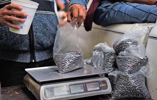 Productores de frijol del municipio de Actopan decidieron vender directamente su producto en la ciudad de Xalapa, Veracruz.