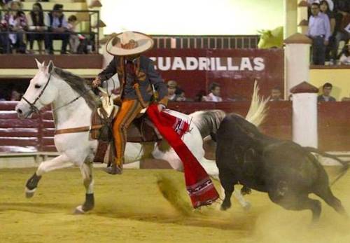 El rejoneador mexicano Joaquín Gallo o la emocionante vigencia de un nacionalismo taurino bien entendido y mejor demostrado.