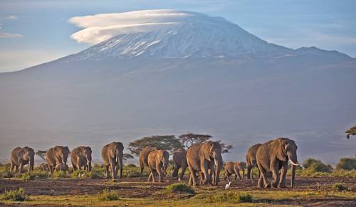 El Kilimanjaro, en Tanzania, uno de los tres campos de hielo tropicales del continente, está en riesgo.