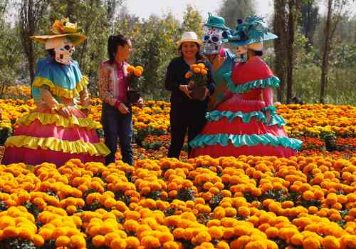 La jefa de Gobierno durante la visita al colorido vivero de San Sebastián, en Xochimilco.