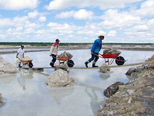 Habitantes de Zancarrón, municipio de Santo Domingo, San Luis Potosí (limítrofe con Zacatecas), obtienen sal al evaporar en piletas agua marina que se encuentra en depósitos a siete metros de profundidad. Según estudios prospectivos, en la zona hay depósitos de salinas con importantes contenidos de litio.