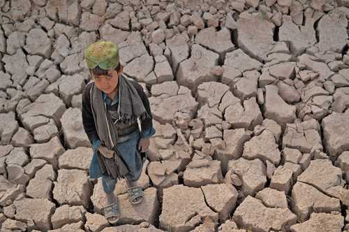 La sequía afecta los campos del remoto distrito afgano de Bala Murghab.