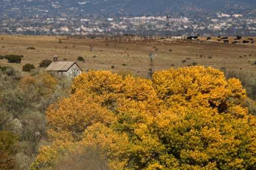 Edificios del set de filmación de Bonanza Creek Ranch, cerca de donde un miembro del equipo fue baleado durante la producción de la película del oeste Rust.