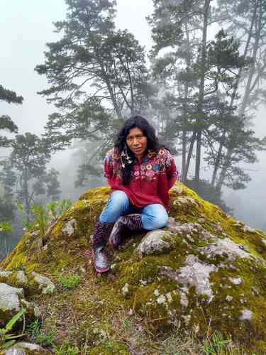       Reportan desaparición de ambientalista en Oaxaca                      