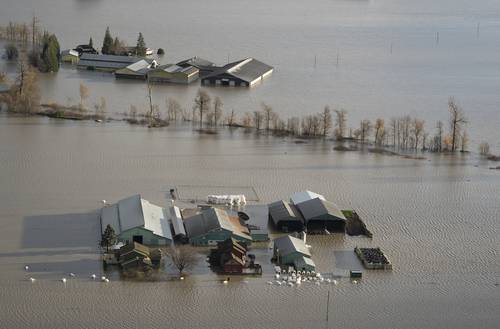 La provincia de Columbia Británica fue declarada ayer en estado de emergencia debido a lluvias torrenciales que “ocurren una vez cada 500 años”, según el gobierno local. Hasta el momento el saldo es de un muerto.