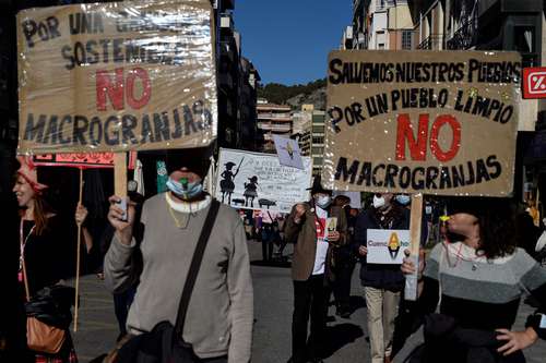  Manifestación convocada por la asociación Pueblos Vivos Cuenca para denunciar los permisos para nuevas explotaciones ganaderas intensivas. Foto Afp