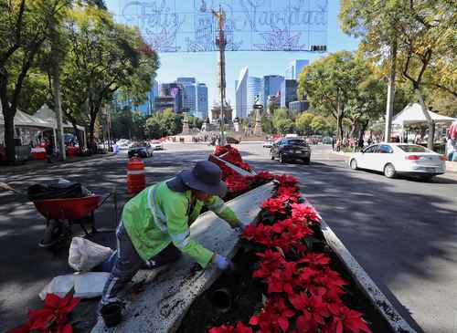 Finalizó noviembre y con él las celebraciones del Día de Muertos, que dieron lugar a vestir de amarillo cempasúchil el Paseo de la Reforma y el desfile de la Revolución Mexicana. Ahora, la emblemática avenida es decorada con mosaicos luminosos y tapizada con flores de Nochebuena para dar paso a las festividades de Navidad y Fin de Año.