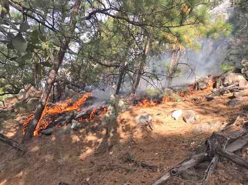 Personal de la Coordinación Estatal de Protección Civil y de la Comisión Nacional Forestal combate un incendio forestal que comenzó el pasado fin de semana en la sierra alta de Aconchi, en el norte de Sonora. La conflagración empezó en Cajón del Infierno, punto que colinda con los municipios de San Felipe de Jesús y Rayón.