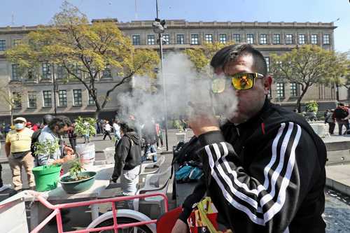 CONTRA EL TORTUGUISMO EN EL SENADO. Colectivos en favor del uso lúdico de la mariguana se manifiestan afuera del Senado en protesta por la postergación del debate para regularizarla.