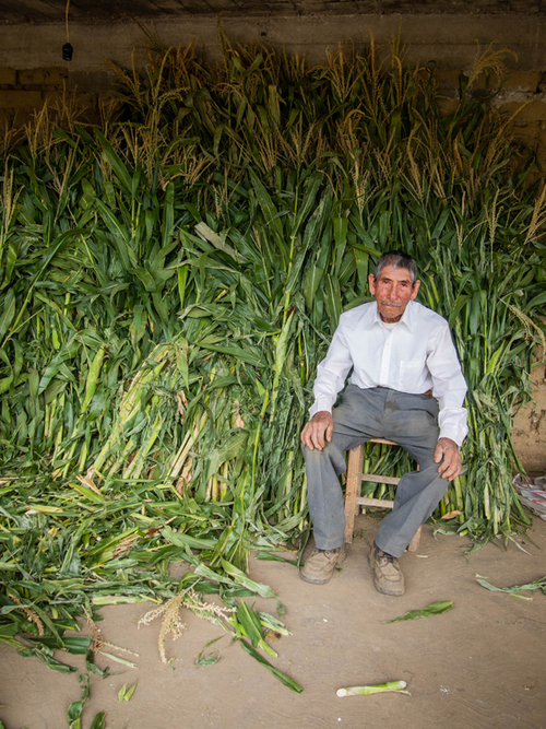 Campesino y maíz.  Alejandra Olvera