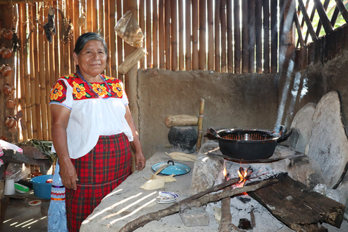 Mujer nahua prepara un guiso en la cocina